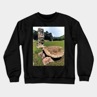 Colorized vintage photo of cosmic turtle Crewneck Sweatshirt